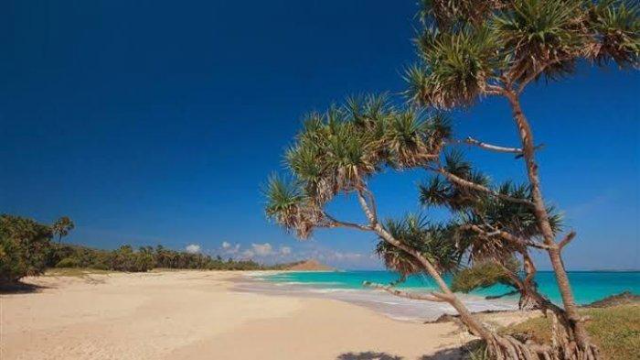 Inilah Rekomendasi Pantai Di Daerah Kupang, Penuh Eksotis !